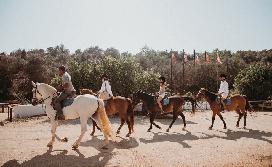 Picture 5 for Activity From Albufeira: Half-Day Hidden Gems & Horse Riding Tour