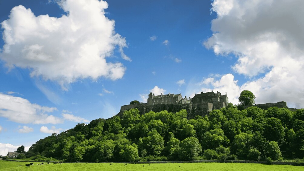 Picture 3 for Activity From Glasgow: Bannockburn & Stirling Castle Private Tour