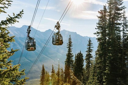 Eingehende Banff Area & Canyon Tagestour ab Calgary oder Banff