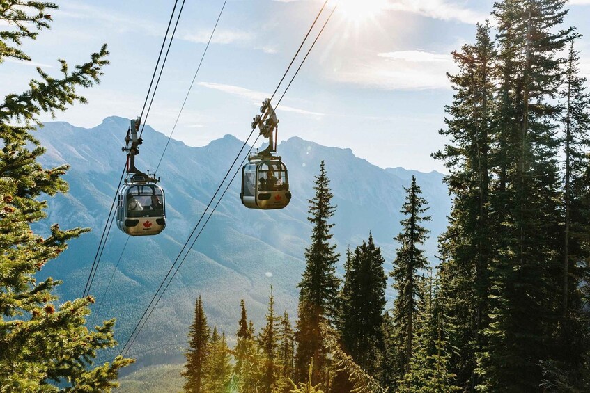 In-Depth Banff Area & Canyon Day Tour from Calgary or Banff