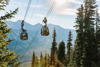 Eingehende Banff Area & Canyon Tagestour ab Calgary oder Banff