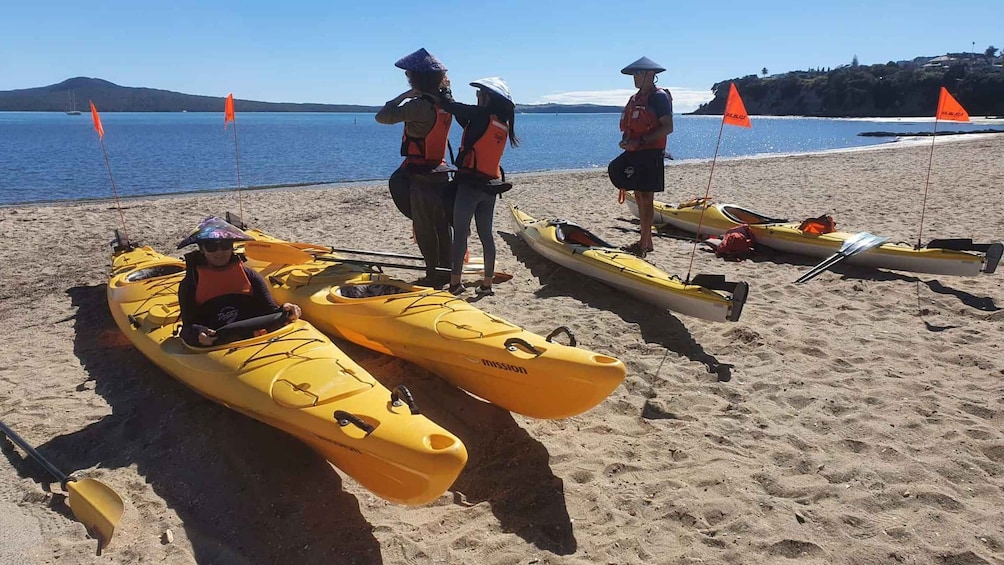 Picture 8 for Activity From Auckland: Browns Island Motukorea Sea Kayak Tour