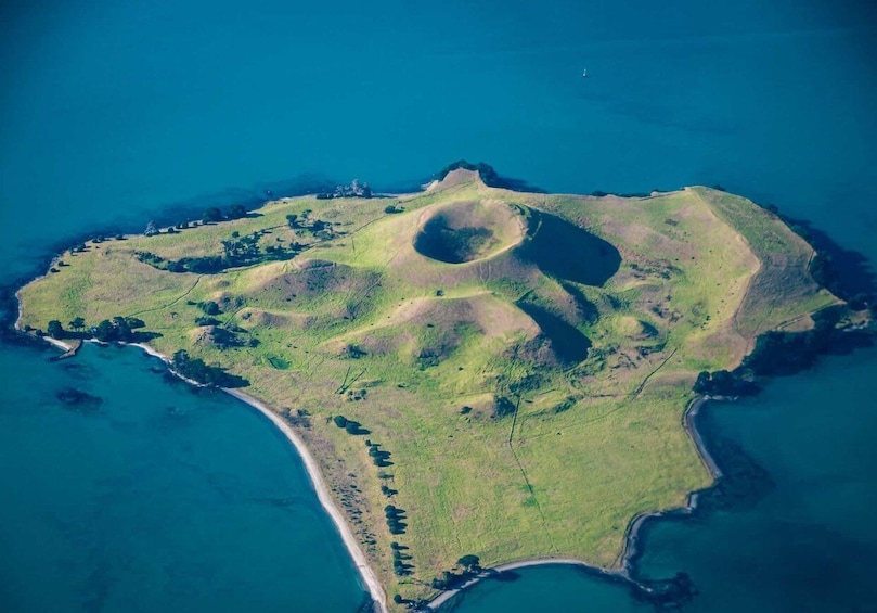 Picture 2 for Activity From Auckland: Browns Island Motukorea Sea Kayak Tour