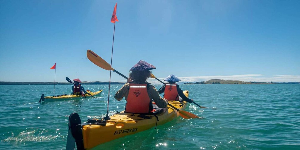 Picture 1 for Activity From Auckland: Browns Island Motukorea Sea Kayak Tour