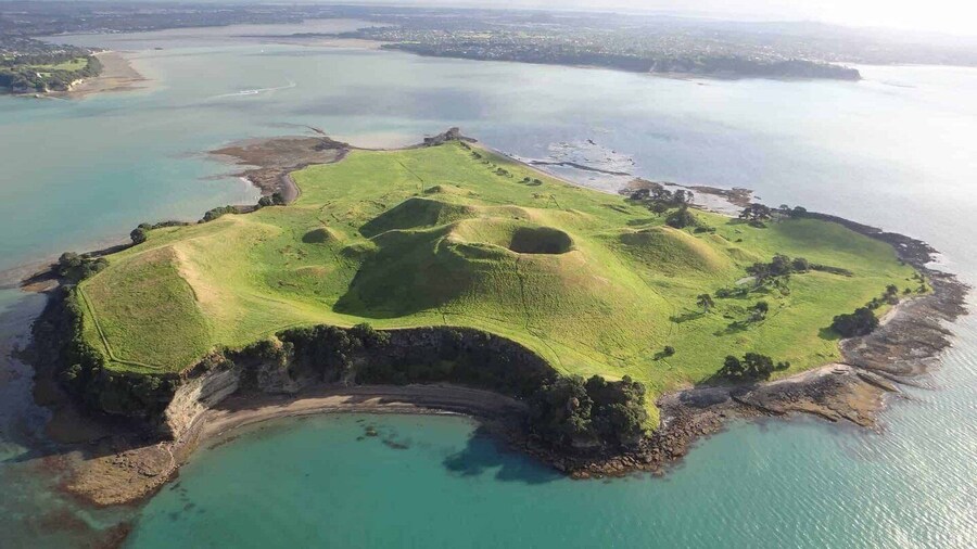 From Auckland: Browns Island Motukorea Sea Kayak Tour