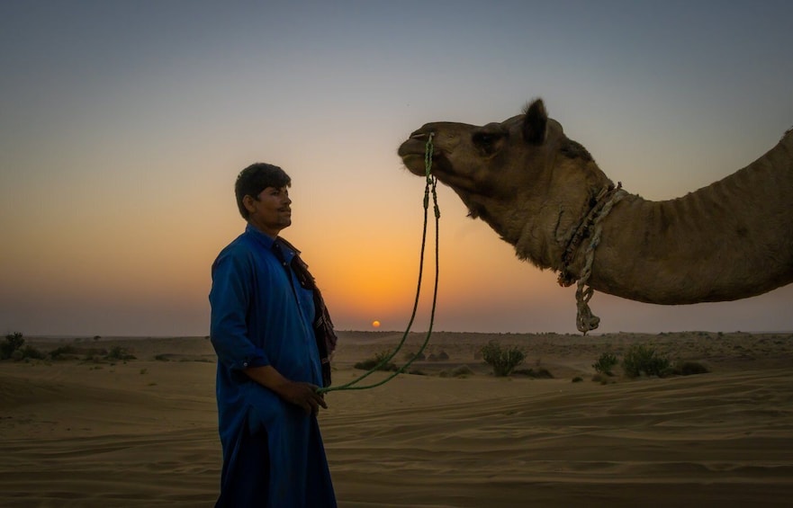 Picture 4 for Activity Dazzling Half Day Tour of Camel & Desert Safari With Sunset