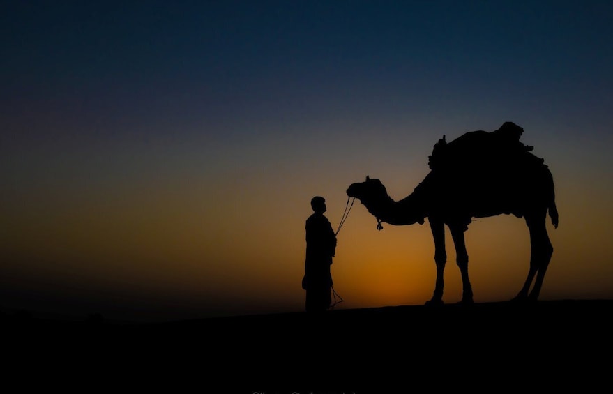 Picture 11 for Activity Dazzling Half Day Tour of Camel & Desert Safari With Sunset