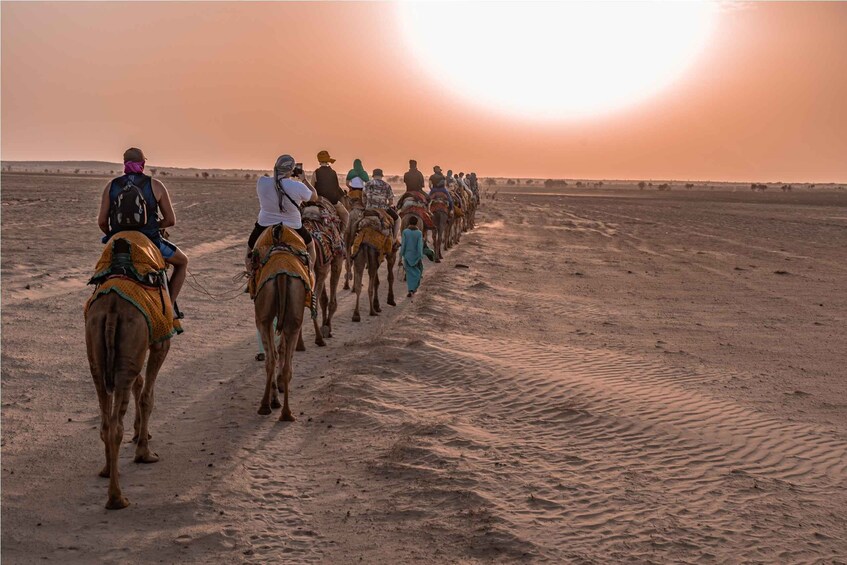 Picture 6 for Activity Dazzling Half Day Tour of Camel & Desert Safari with Sunset