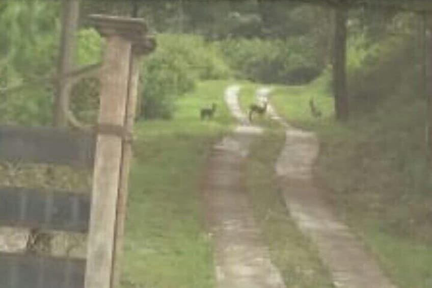 Private Guided ATV experience in Honduras with snacks