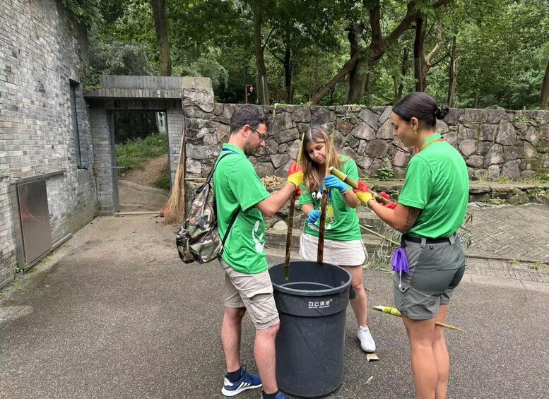 Picture 3 for Activity 1-day Dujiangyan Panda Volunteer Tour