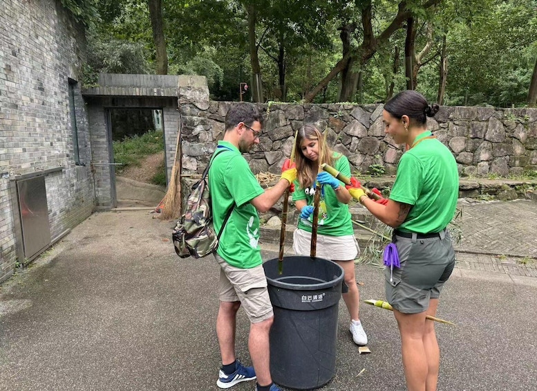 Picture 3 for Activity 1-day Dujiangyan Panda Volunteer Tour