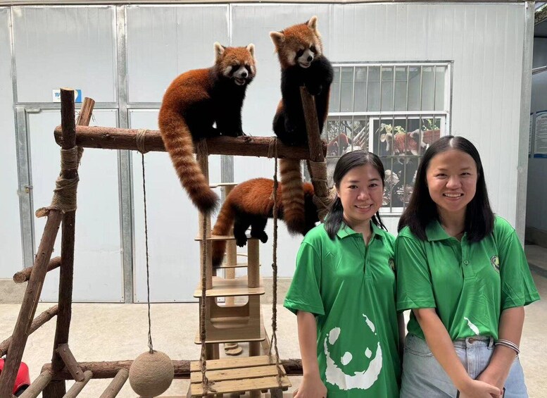 Picture 4 for Activity 1-day Dujiangyan Panda Volunteer Tour