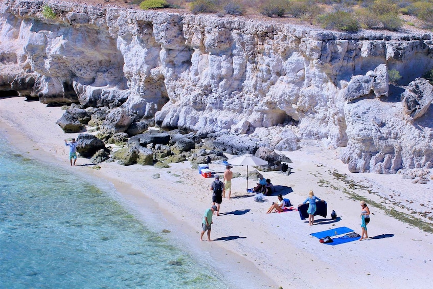 Picture 6 for Activity Danzante Island & Snorkel Tour from Villa del Palmar Hotel