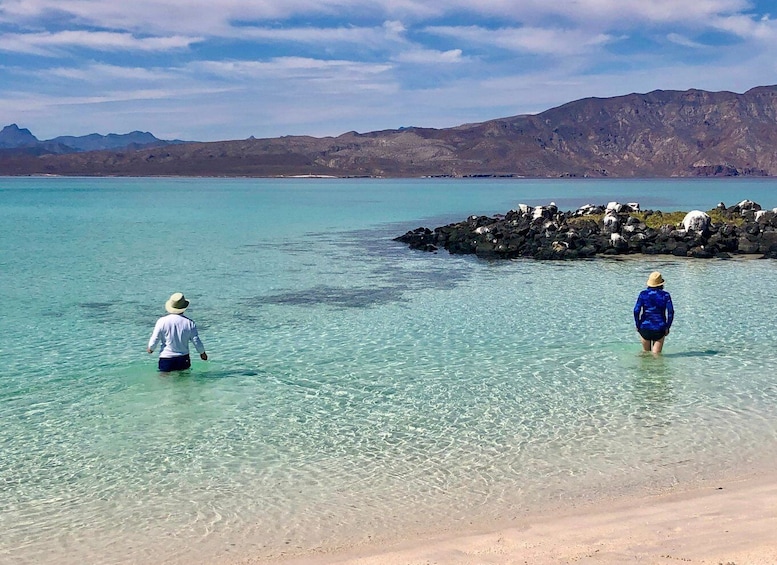 Picture 4 for Activity Danzante Island & Snorkel Tour from Villa del Palmar Hotel