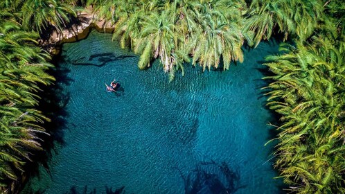 Kikuletwa hotspring tour include Lunch & Drinks