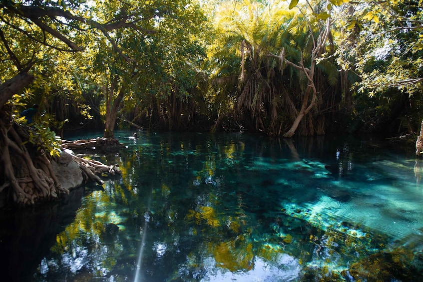 Picture 1 for Activity Kikuletwa hotspring tour include Lunch & Drinks