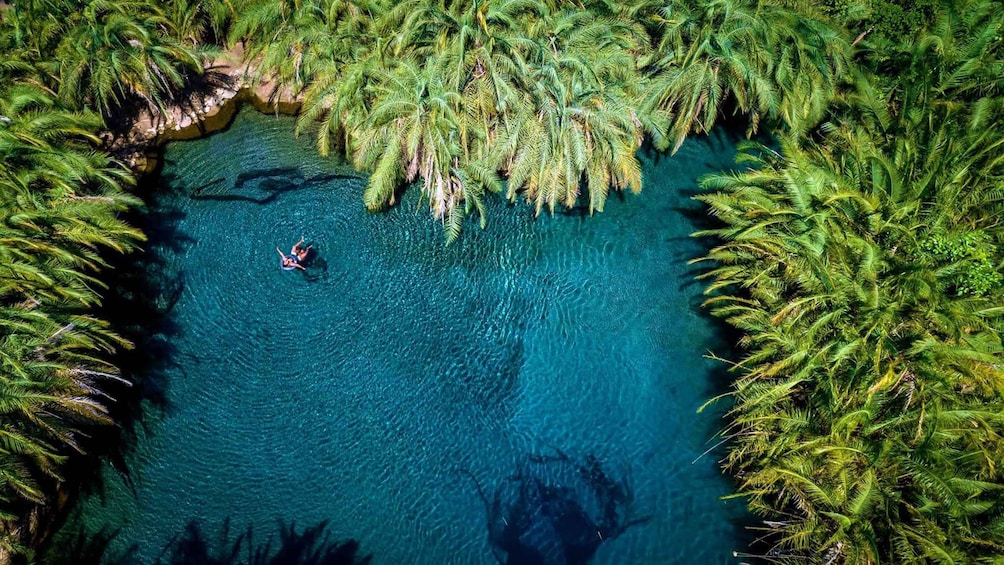 Kikuletwa hotspring tour include Lunch & Drinks