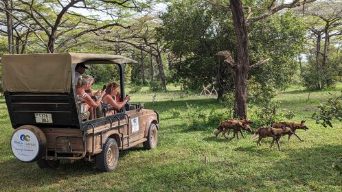 From Zanzibar: Best Day Safari Selous with flights and lunch