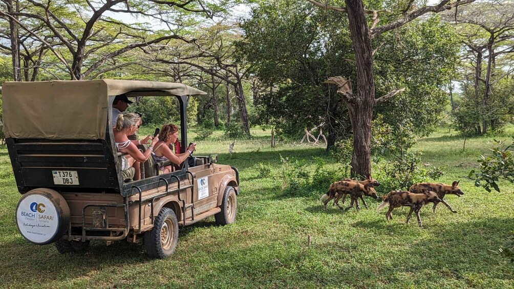 Picture 8 for Activity From Zanzibar: Best Day Safari Selous with flights and lunch