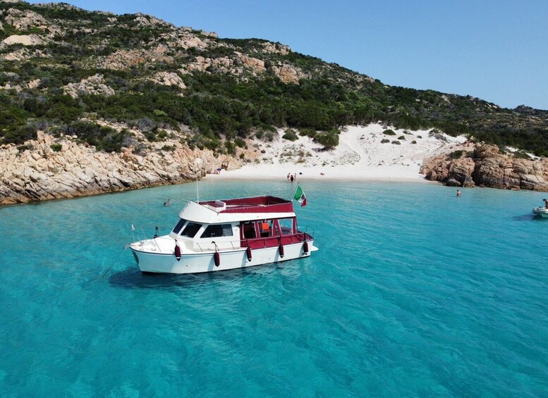 From Palau: La Maddalena Cruise with Lunch & Drinks