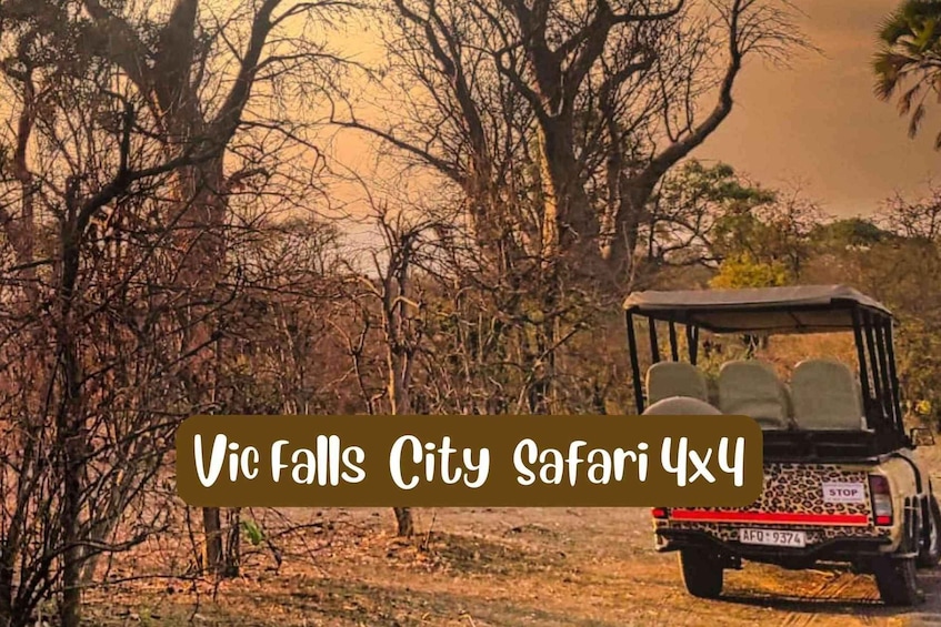 Victoria Falls: 4x4 Victoria Falls City Safari