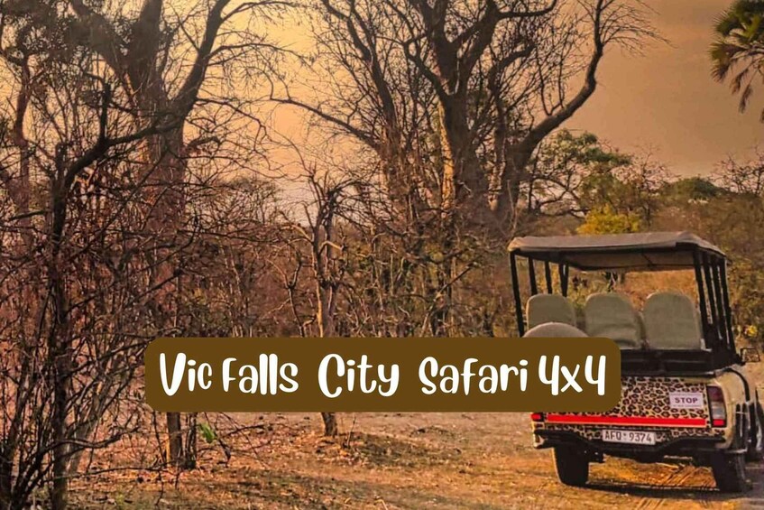 Victoria Falls: 4x4 Victoria Falls City Safari