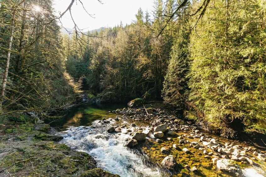 Picture 11 for Activity From Seattle: Visit Snoqualmie Falls and Hike to Twin Falls