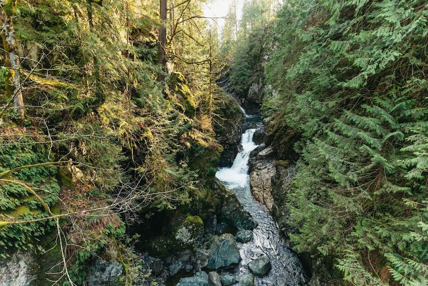 Picture 12 for Activity From Seattle: Visit Snoqualmie Falls and Hike to Twin Falls