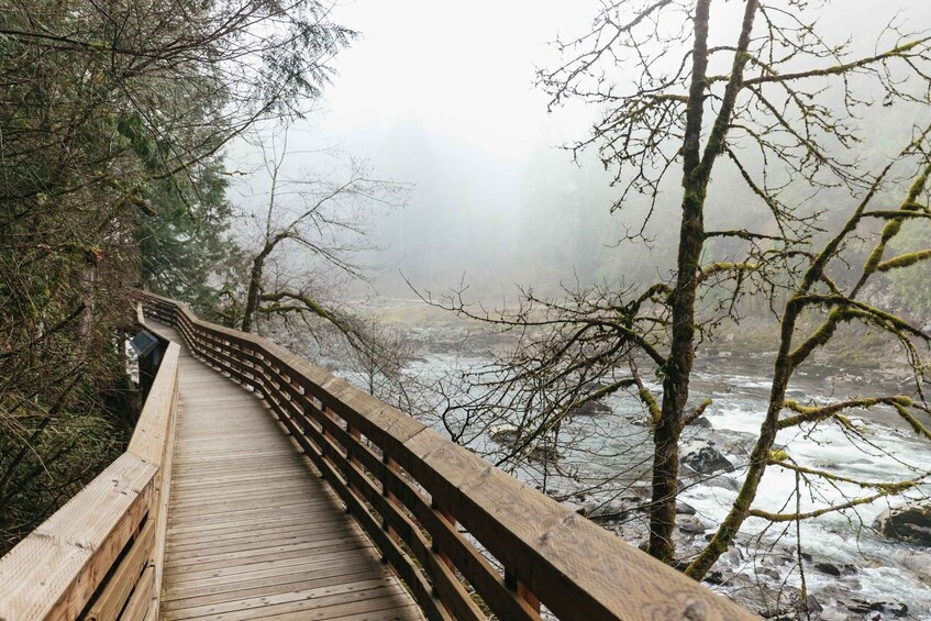 Picture 5 for Activity From Seattle: Visit Snoqualmie Falls and Hike to Twin Falls