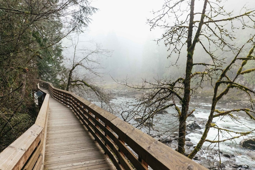 Picture 5 for Activity From Seattle: Visit Snoqualmie Falls and Hike to Twin Falls