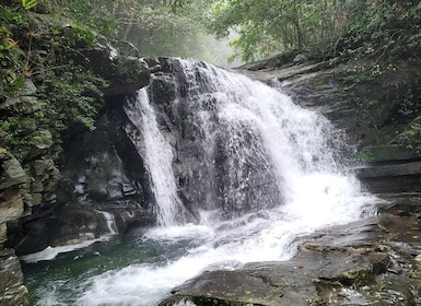 Von Da Nang oder Hoi An aus: Bach Ma National Park Trek & Mittagessen