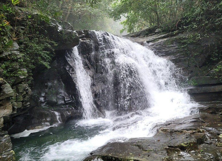 Picture 9 for Activity From Da Nang or Hoi An: Bach Ma National Park Trek & Lunch