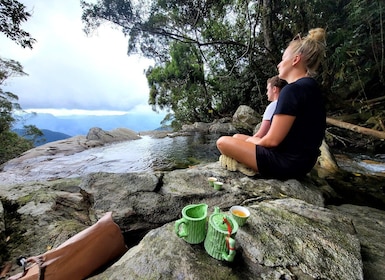 Vanuit Da Nang of Hoi An: Bach Ma Nationaal Park Trek & Lunch