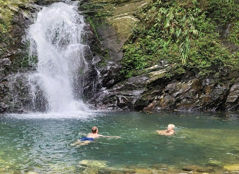 Picture 3 for Activity From Da Nang or Hoi An: Bach Ma National Park Trek & Lunch