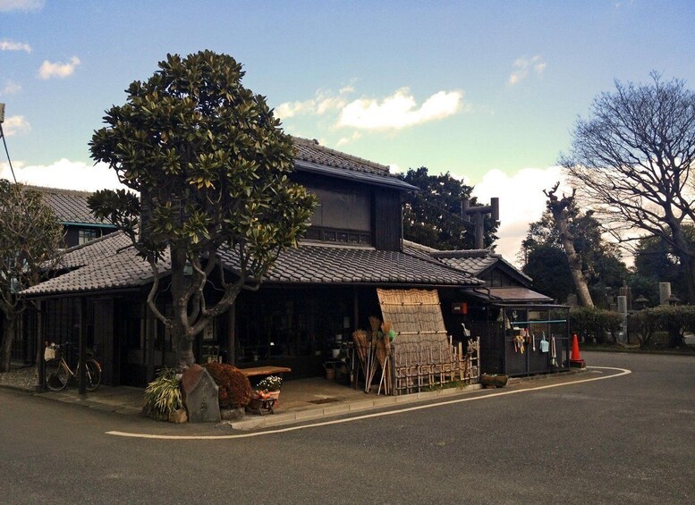 Picture 2 for Activity Tokyo: Old Quarter Yanaka Walking Tour