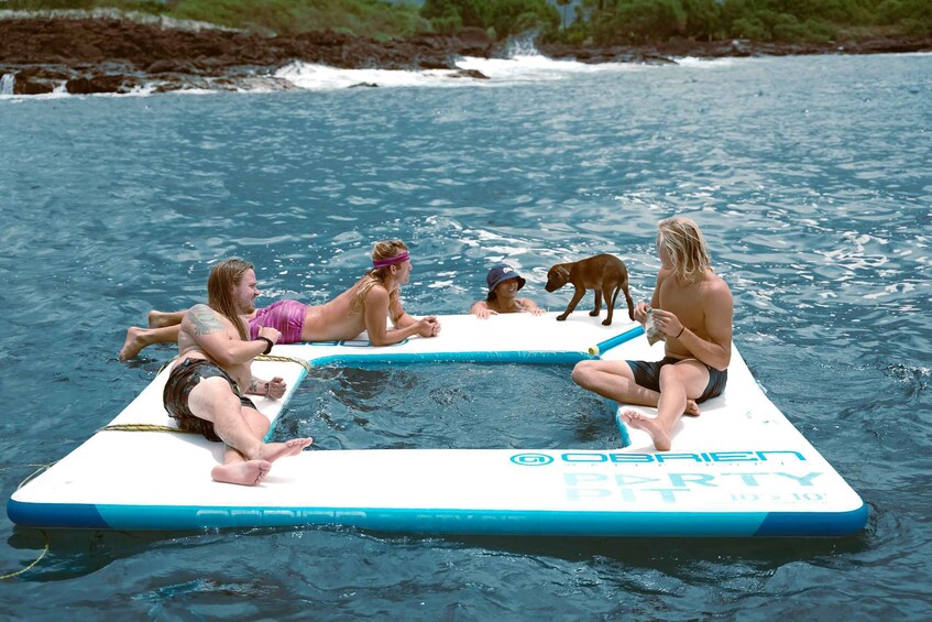 Picture 6 for Activity Kailua-Kona: Dolphin Watch Speedboat Snorkel Cruise and BBQ