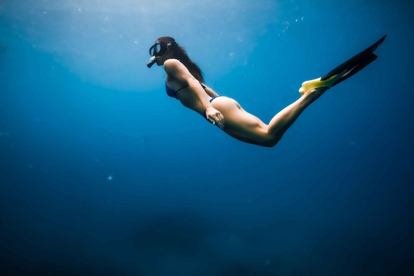 Picture 8 for Activity Kailua-Kona: Dolphin Watch Speedboat Snorkel Cruise and BBQ