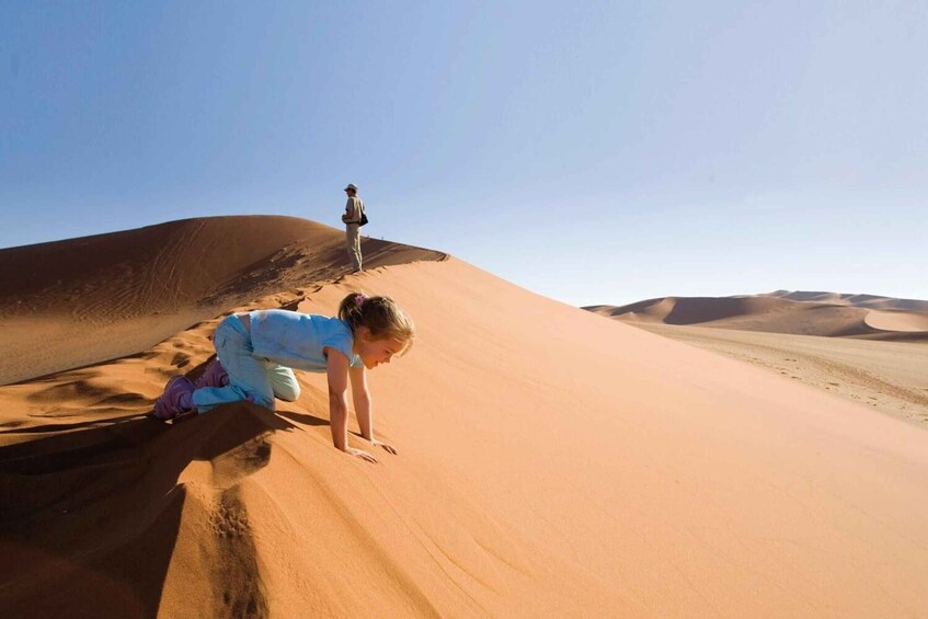 Picture 10 for Activity Namibia Express Adventure Tour