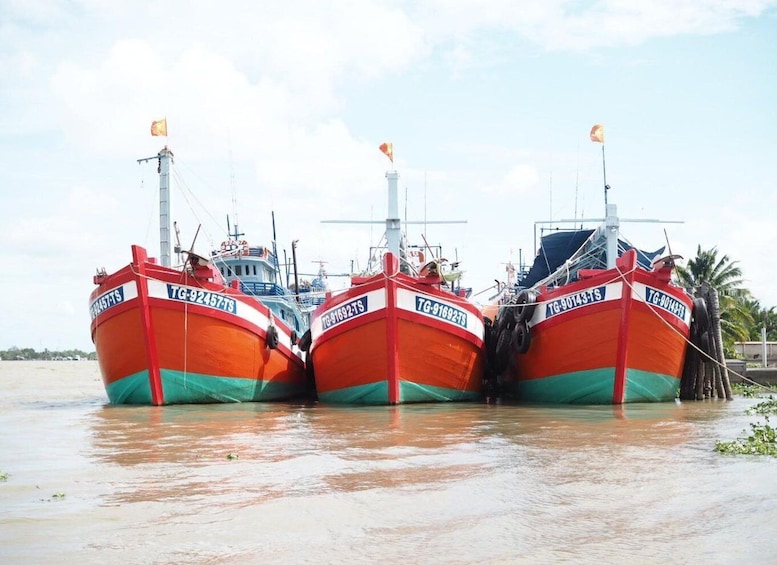 Picture 6 for Activity HCM: Full Day to Explore Mekong Delta in Deluxe Small Group