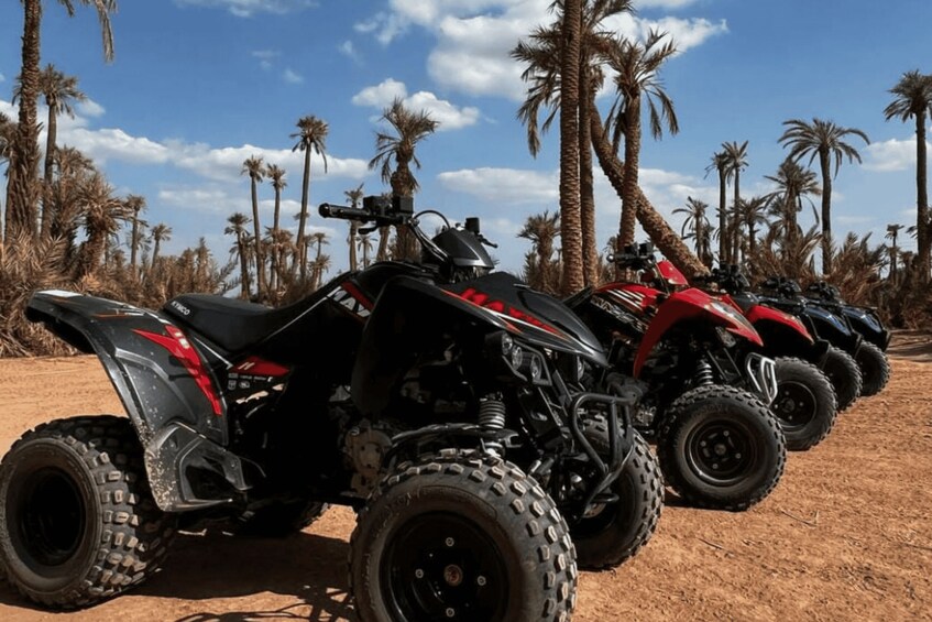 Picture 5 for Activity Marrakech: Quad ride at the duns of the Palmeraie with tea