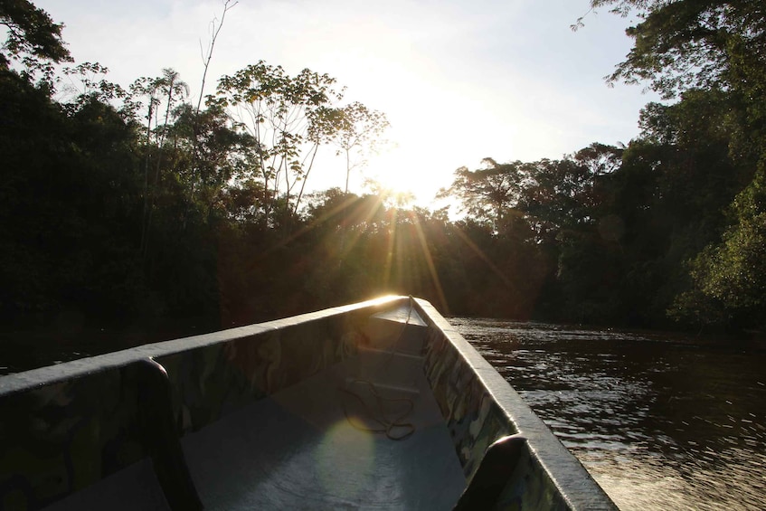 Picture 2 for Activity 4 Days Amazon Lodge Cuyabeno Reserve