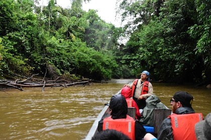 4 Days Amazon Lodge Cuyabeno Reserve