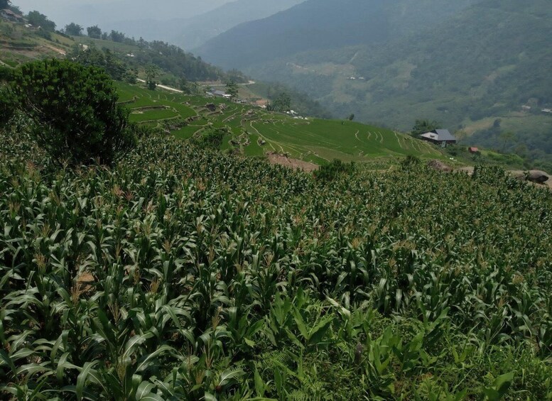 Picture 10 for Activity From Hanoi: 2-Day Sapa Trekking Trip with Homestay & Meals