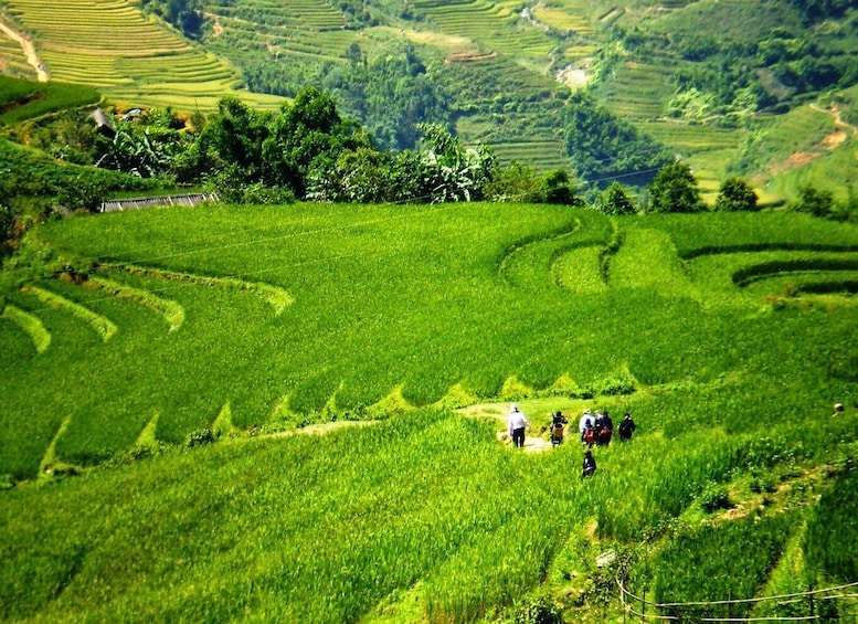 Picture 13 for Activity From Hanoi: 2-Day Sapa Trekking Trip with Homestay & Meals