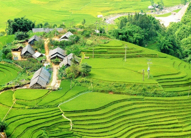 Picture 1 for Activity From Hanoi: 2-Day Sapa Trekking Trip with Homestay & Meals