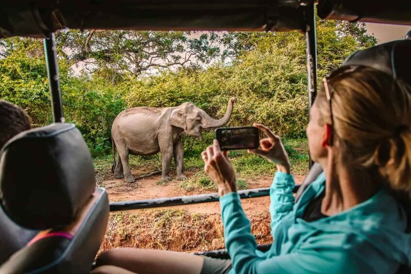 Picture 5 for Activity Yala Safari Tour with Hotel / Accommodation