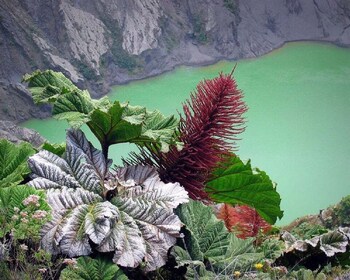 Depuis San Jose : Randonnée au cratère du volcan Irazu et excursion à Carta...