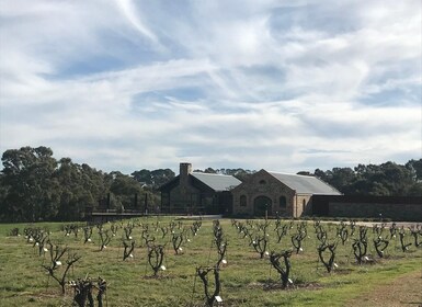 Barossa Valley: (Sisältää lounaan).