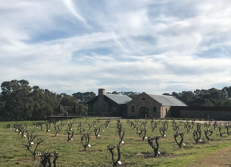 Barossa Valley: Small Group Wine Tour (Includes Lunch)