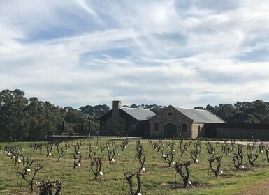 Barossa Valley : Vin en petit groupe excursion (déjeuner inclus)